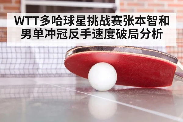 table tennis match closeup